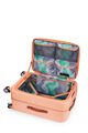 FRONTEC OS SPINNER 68/25 EXP TSA OS  hi-res | American Tourister