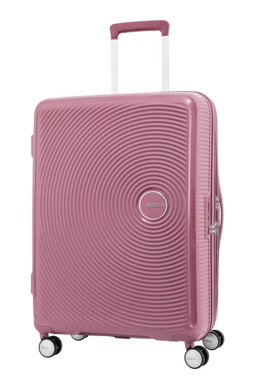 American tourister curio 25 spinner new arrivals
