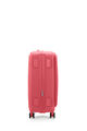 CURIO BOOK OPEN SPINNER 68/25 EXP TSA BO  hi-res | American Tourister
