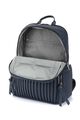 PAISLEY BACKPACK 1  hi-res | American Tourister
