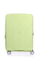 Argyle Set Frozen Matcha