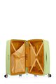 Argyle Set Frozen Matcha