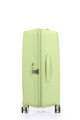 Argyle Set Frozen Matcha