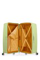 Argyle Set Frozen Matcha