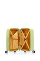 Argyle Set Frozen Matcha